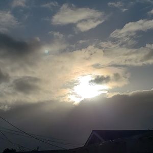 Meet your Posher, Teri